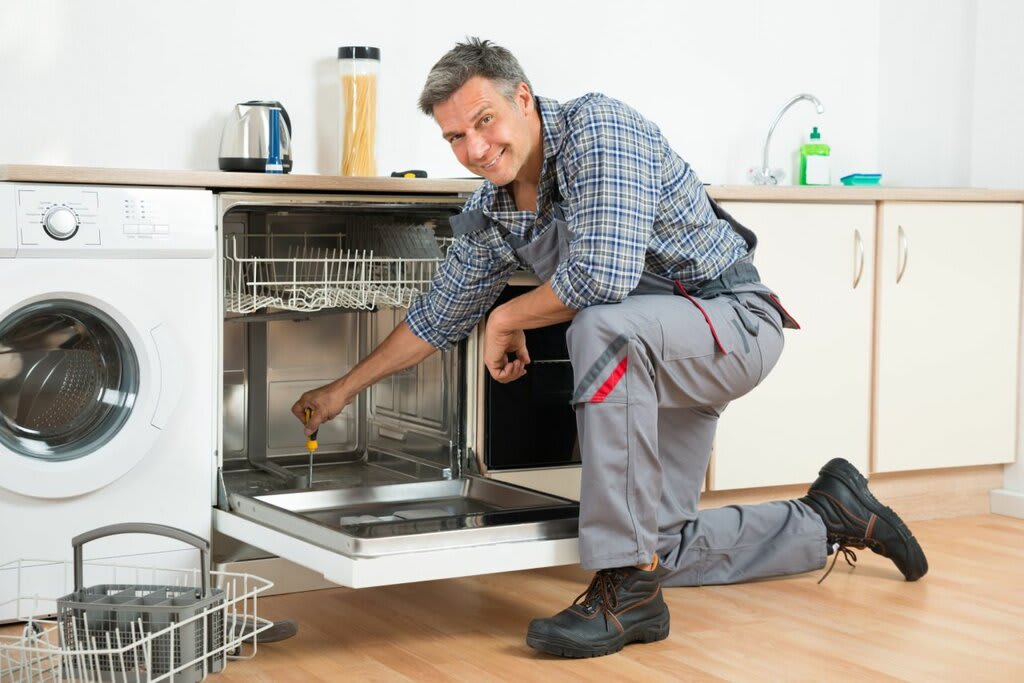 Why should I choose professional appliance repair services?