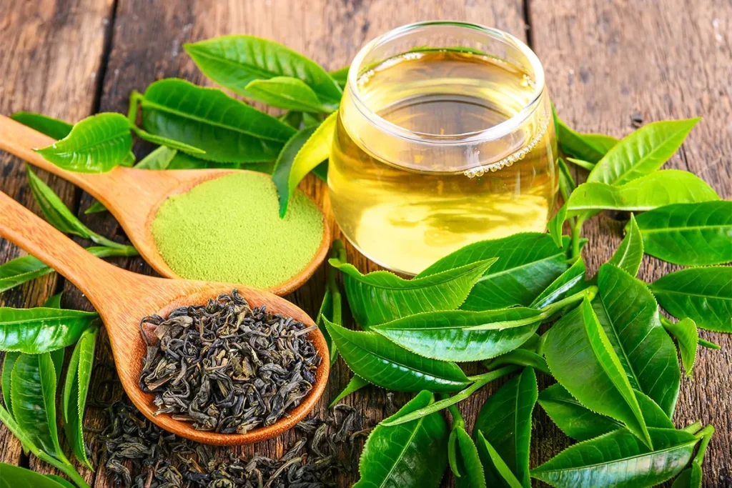 How to Choose the Best Green Tea Extract for Optimal Health?